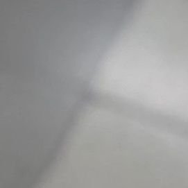 동그란눈에까만작은코하얀털옷을입음's profile picture