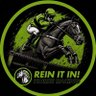 🏇Rein It In! Horse Racing 的头像