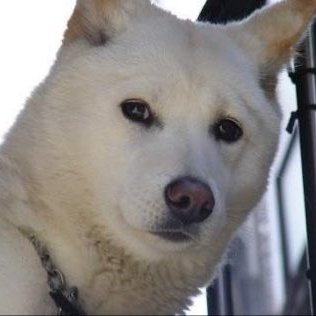 bbslover11's profile picture