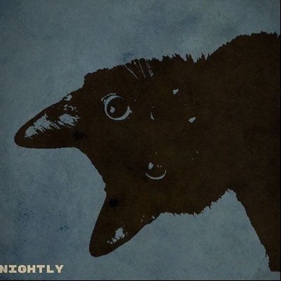 sereautunnali's profile picture