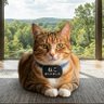じゅん profil fotoğrafı