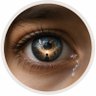 Noor Elan's profile picture
