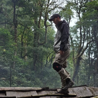 kaingollb's profile picture
