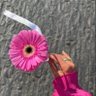Soft Mo's profile picture