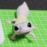 Profilbild von 空鶏