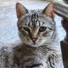 Profilbild von Lita