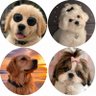 Emma profil fotoğrafı