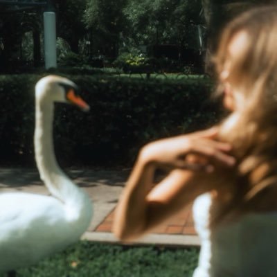 anywayurfav's profile picture