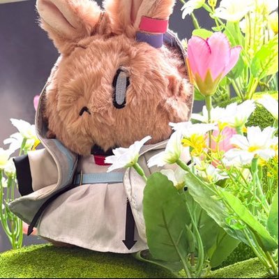ほのぼの's profile picture