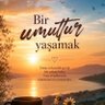 Miniişş 的头像