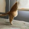 BANANA153 profil fotoğrafı