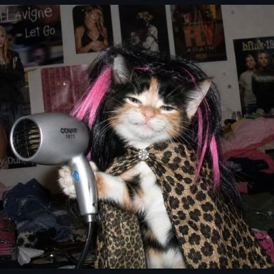 dewisexual ୨୧'s profile picture