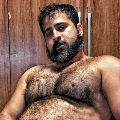 thiagooursinho's profile picture