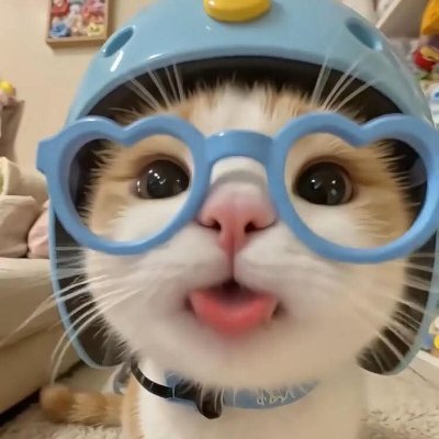 lulabieb's profile picture