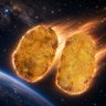 パンガシリウス 的头像