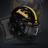 Yellow Jacket ✝️ 🇺🇸 🏈 🏁's profile picture