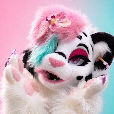 Miaris's profile picture