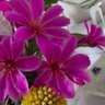 Фото профиля Lily