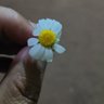 Фото профиля Abdul Majid Rather