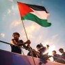 Here is Gaza profil fotoğrafı