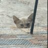 ZEN profil fotoğrafı