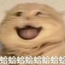 Litt Ying profil fotoğrafı
