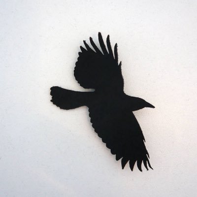 The Birds.'s profile picture