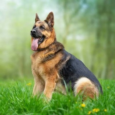 Madmoviez_'s profile picture