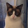 Profilbild von Wendy