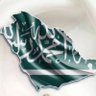 Profilbild von 🇸🇦bojassem🇸🇦