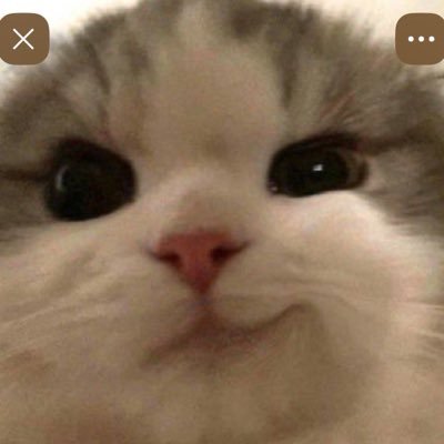 ♡'s profile picture