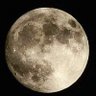 코토모🌒's profile picture