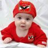Mahmoud's profile picture