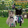 Diego 🌈 & Alice 🐈⬛🐈 profil fotoğrafı