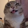 Sakkros's profile picture