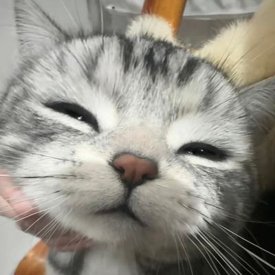 ipokplz's profile picture