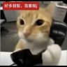 Cassie 的头像