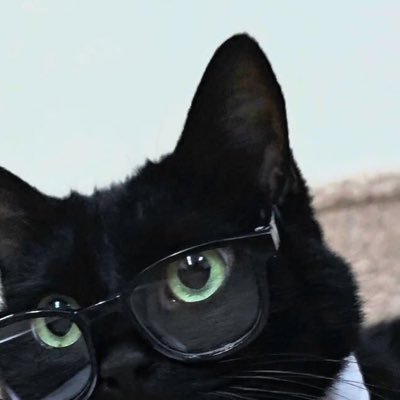 Laszlo ♠'s profile picture