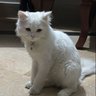 Rai G profil fotoğrafı