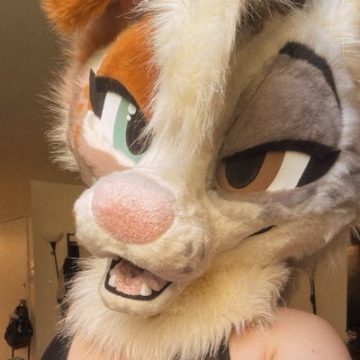 💖Puppy Girl Jinx💖 ➡️ Furpoc, FD, MFF's profile picture