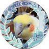 🐥🐤🐣みけ助🐣🐤🐥's profile picture