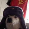 Duck's profile picture
