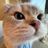 𝘫𝘢𝘯 (มจ.จ๋องเด้ง) • ᙏ̤̫🍡🐈‍⬛ profil fotoğrafı