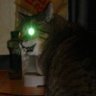銀河猫 profil fotoğrafı