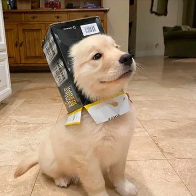 Kss_py's profile picture