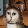 gato medieval's profile picture