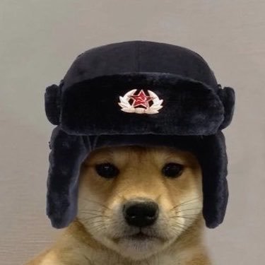 Qavecc's profile picture