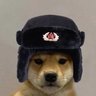 Profilbild von Qavec