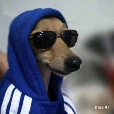 sigaadireitaa's profile picture