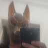 Profilbild von Jackin Wild